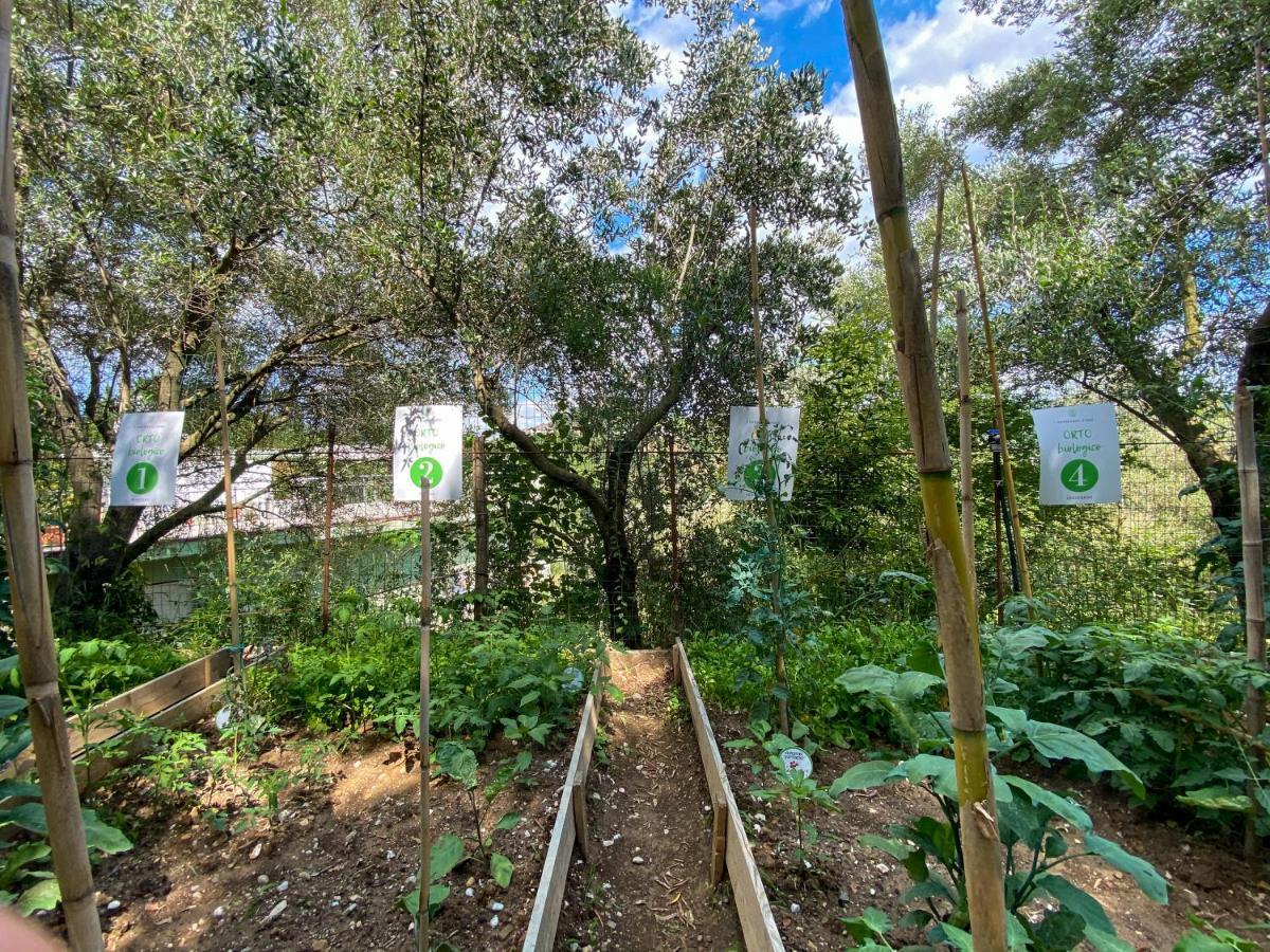 Tenuta Dei Normanni Appartamento